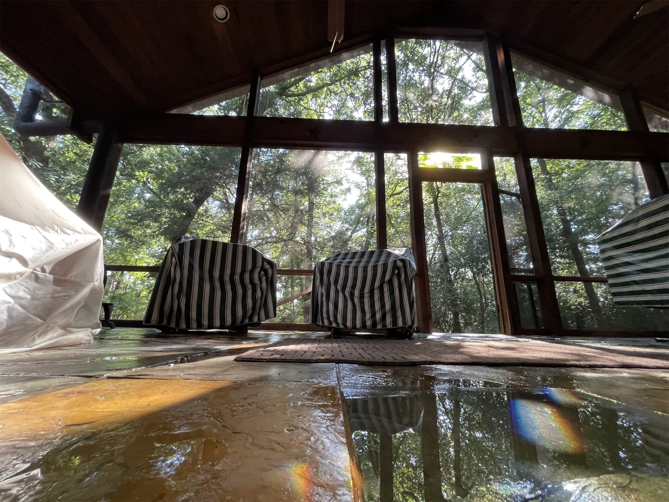 Freshly cleaned screened porch and deck floor after pressure washing